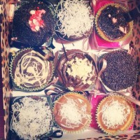 /album/marinasteffenscupcakes/a10322573-910326105661157-2871633654347501089-n-jpg3/